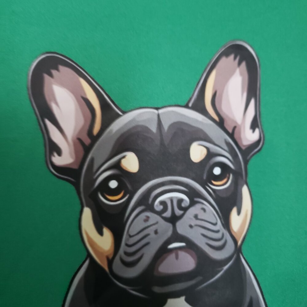 💥3/$10💥T shirt with French Bulldog Beautiful Artwork Size XL Bust 42" B4